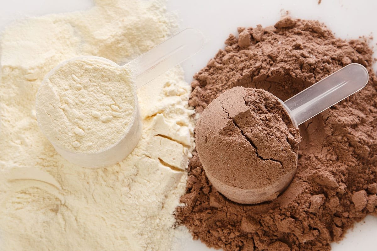 Tout savoir sur les protéines en nutrition