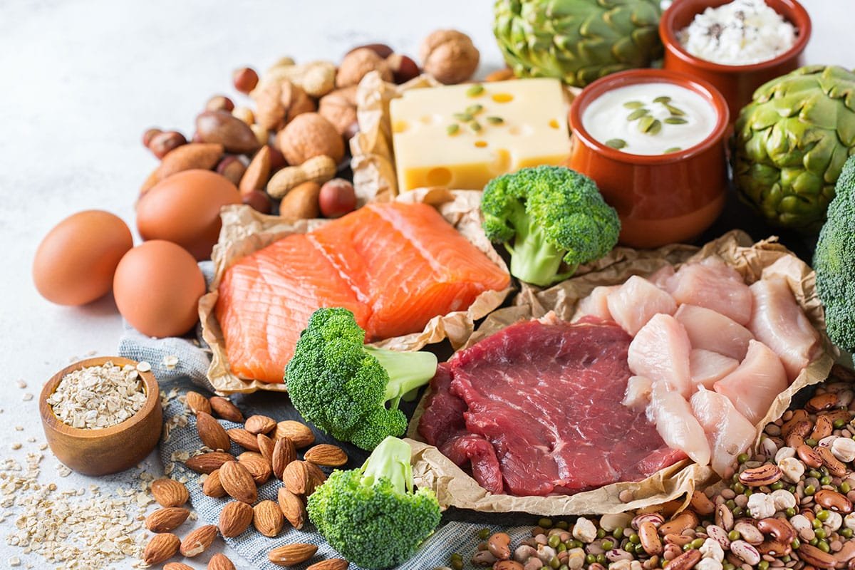 Tout savoir sur les protéines en nutrition