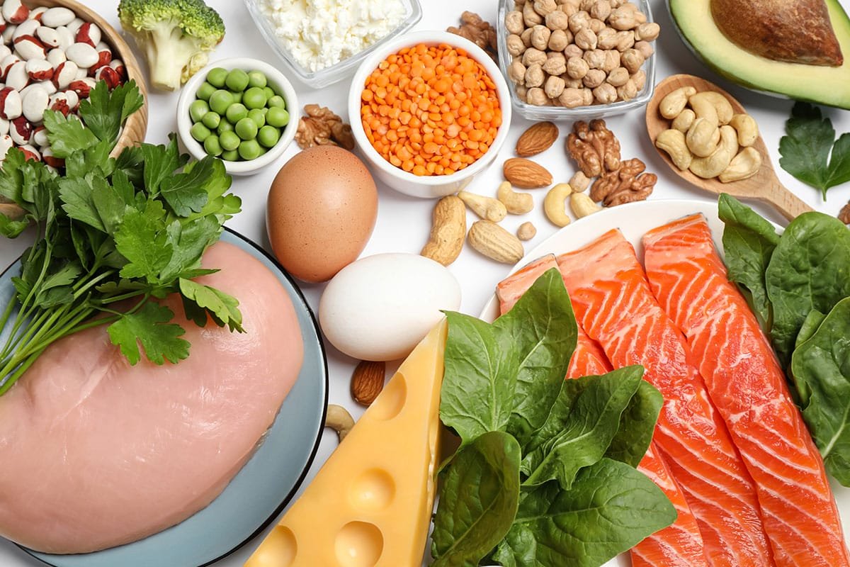 Tout savoir sur les protéines en nutrition