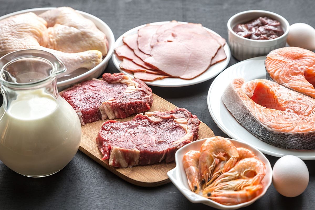Tout savoir sur les protéines en nutrition