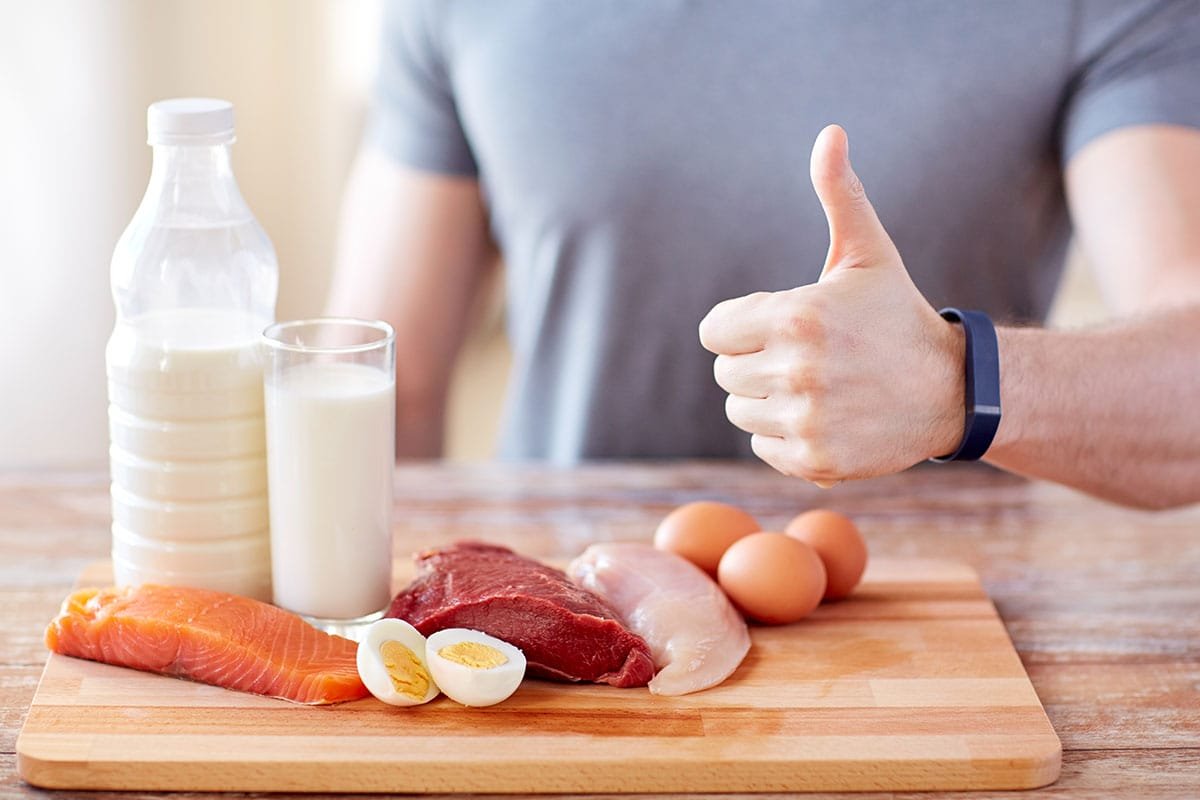 Tout savoir sur les protéines en nutrition