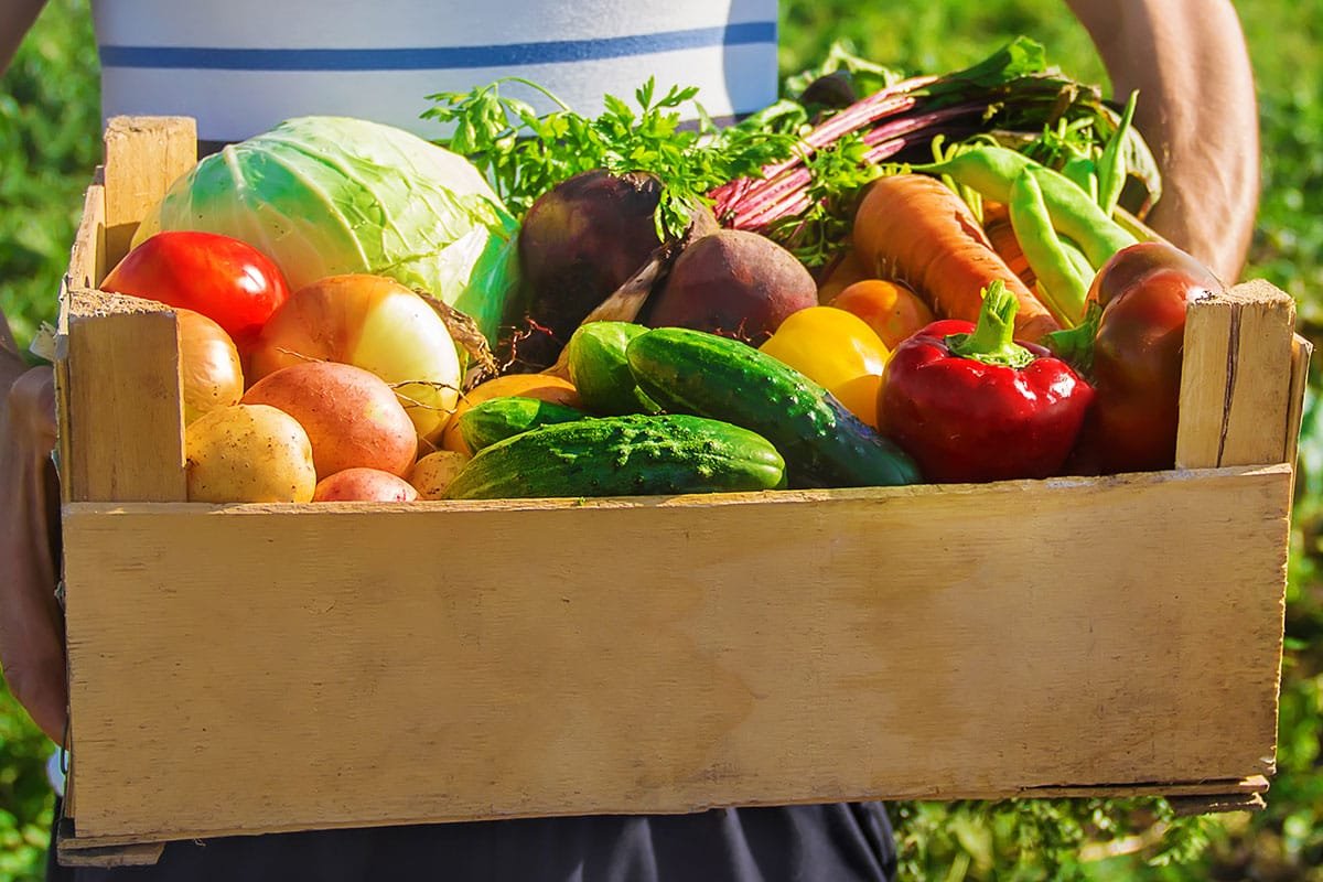 Faut-il manger bio pour maigrir ?