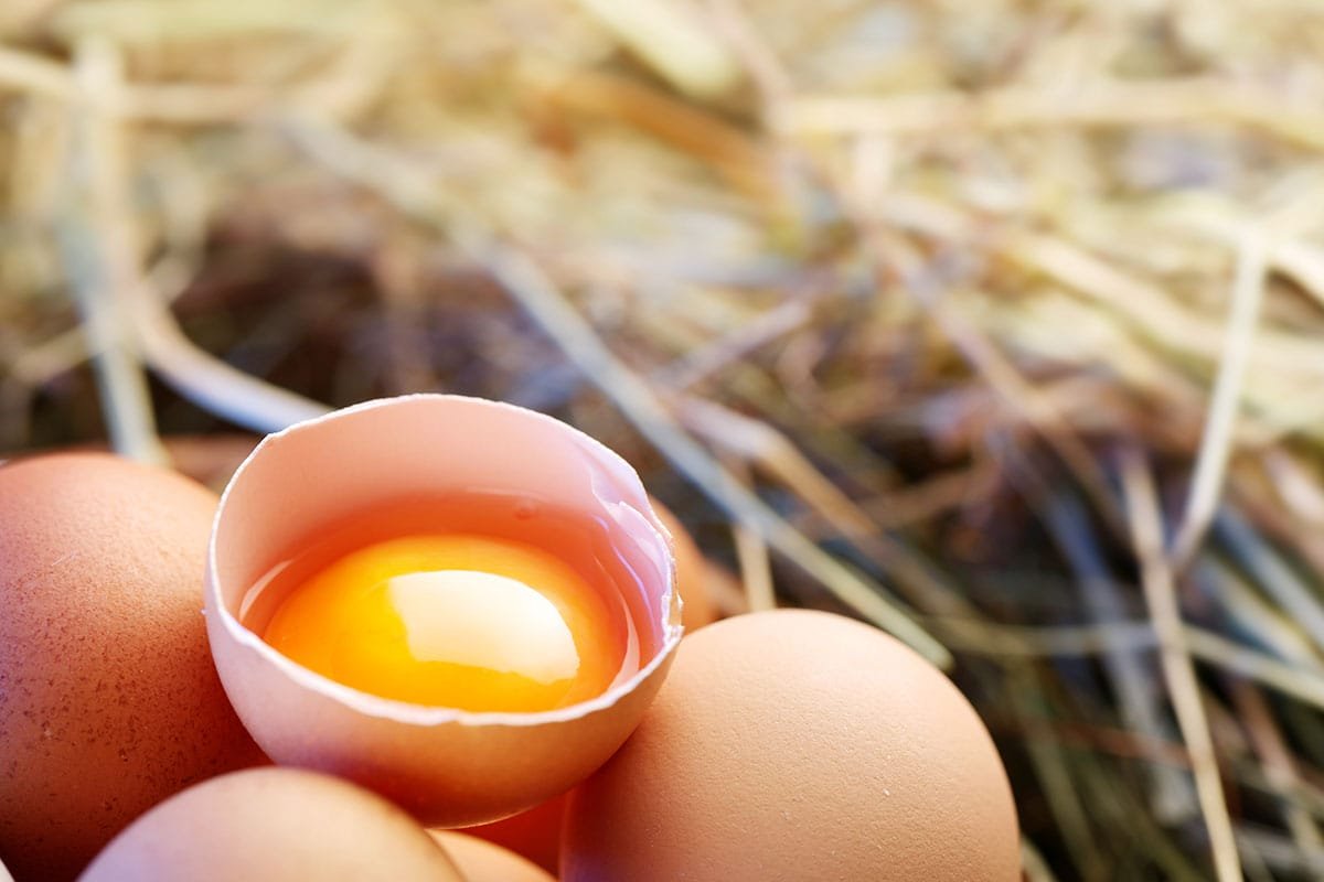Le jaune d'oeuf est-il mauvais pour le cholestérol ?