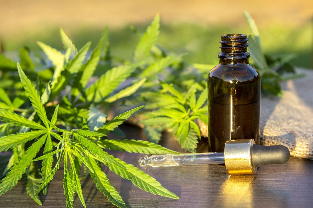 Est-ce que le CBD fait maigrir ?