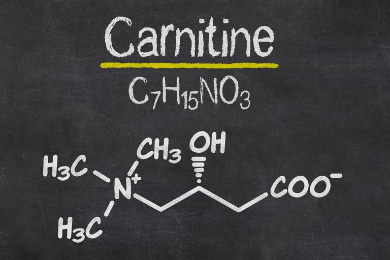 L-Carnitine : Rôle, Bienfaits, Sources, Effets et Avis