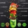 Fat Burner DIX : le brûleur de graisse hautement dosé